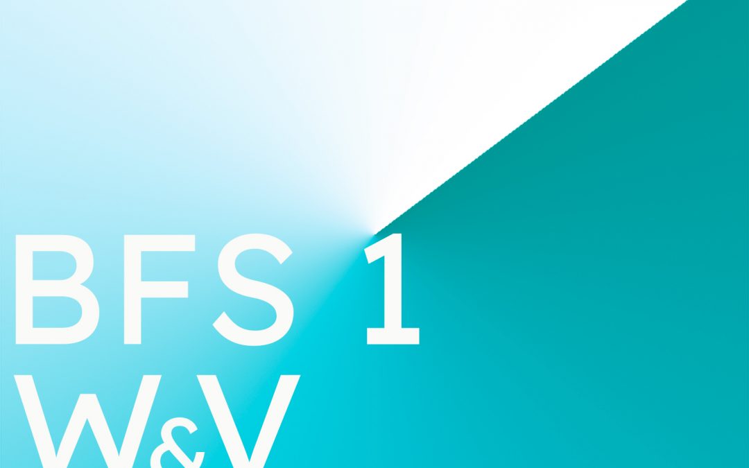 Berufsfachschule 1 Wirtschaft & Verwaltung